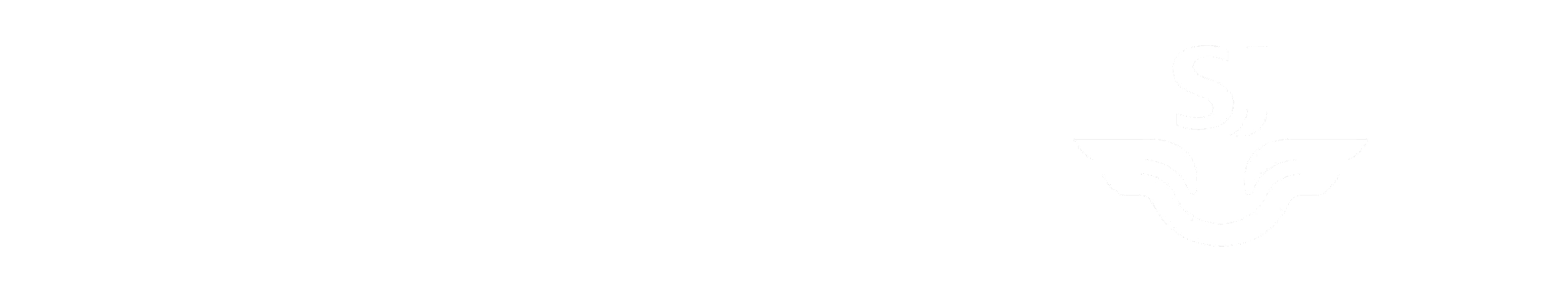 TS_TAPFIN_Logo_RGB_HOR-white